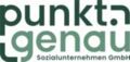 punkt.genau Sozialunternehmen GmbH