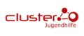 Cluster Jugendhilfe